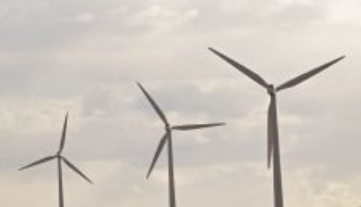 cap_chat_windmills_T1073