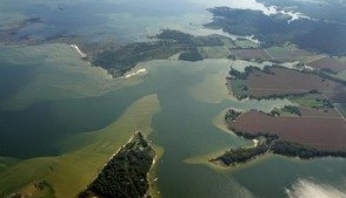 chesapeake-bay-reedsville