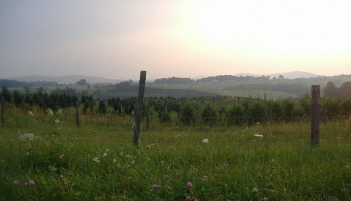 virginia_countryside