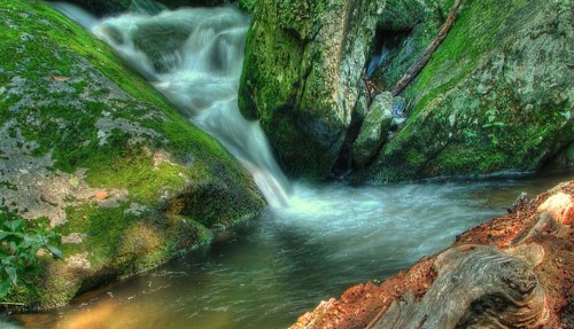 183761153_fc04e82e86