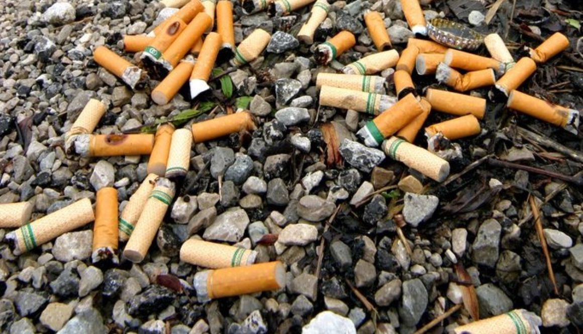 cigarette_litter-1