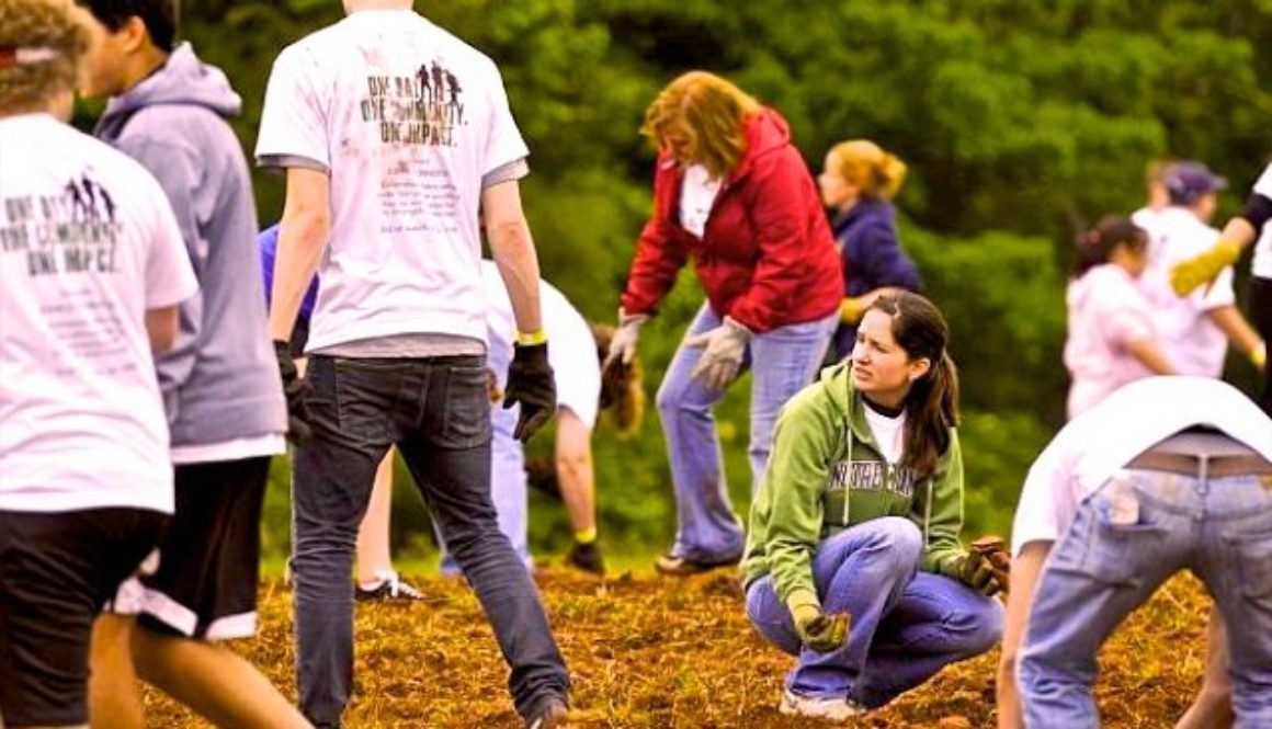 1by 4 2011-05-1714-32-46