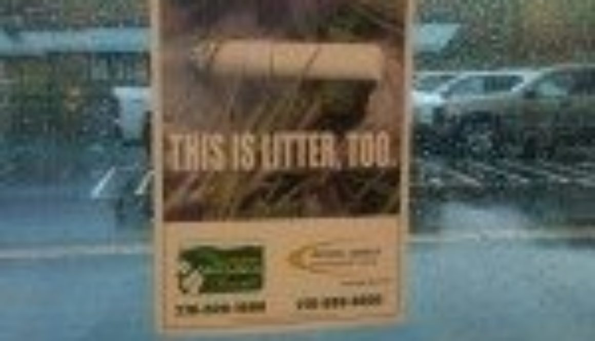 IMG-20111227-00236-600x450-150x150