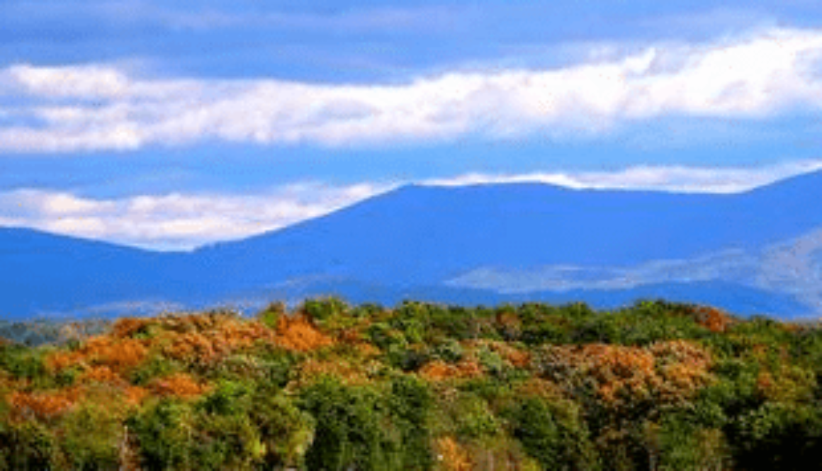 Screen Shot 2012-02-24 at 2.59.55 PM