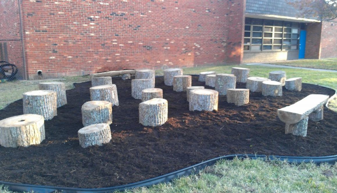 An Outdoor Classroom!