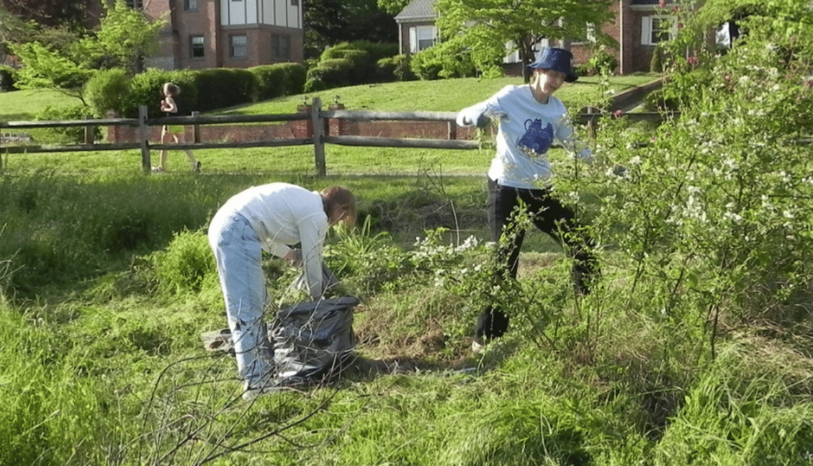 Screen Shot 2012-05-25 at 1.59.13 PM