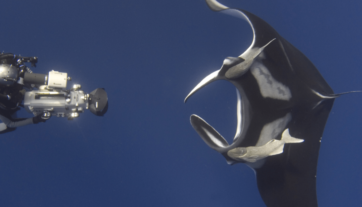 Screen Shot 2012-06-12 at 12.20.06 PM