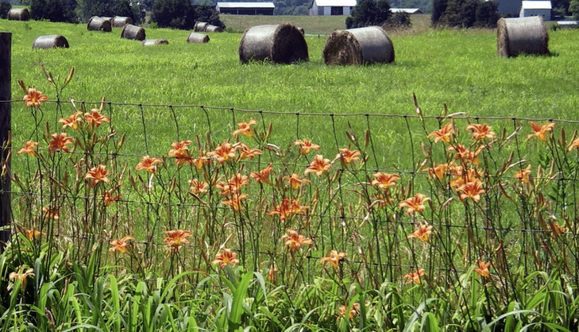 Screen Shot 2012-06-28 at 1.07.59 PM