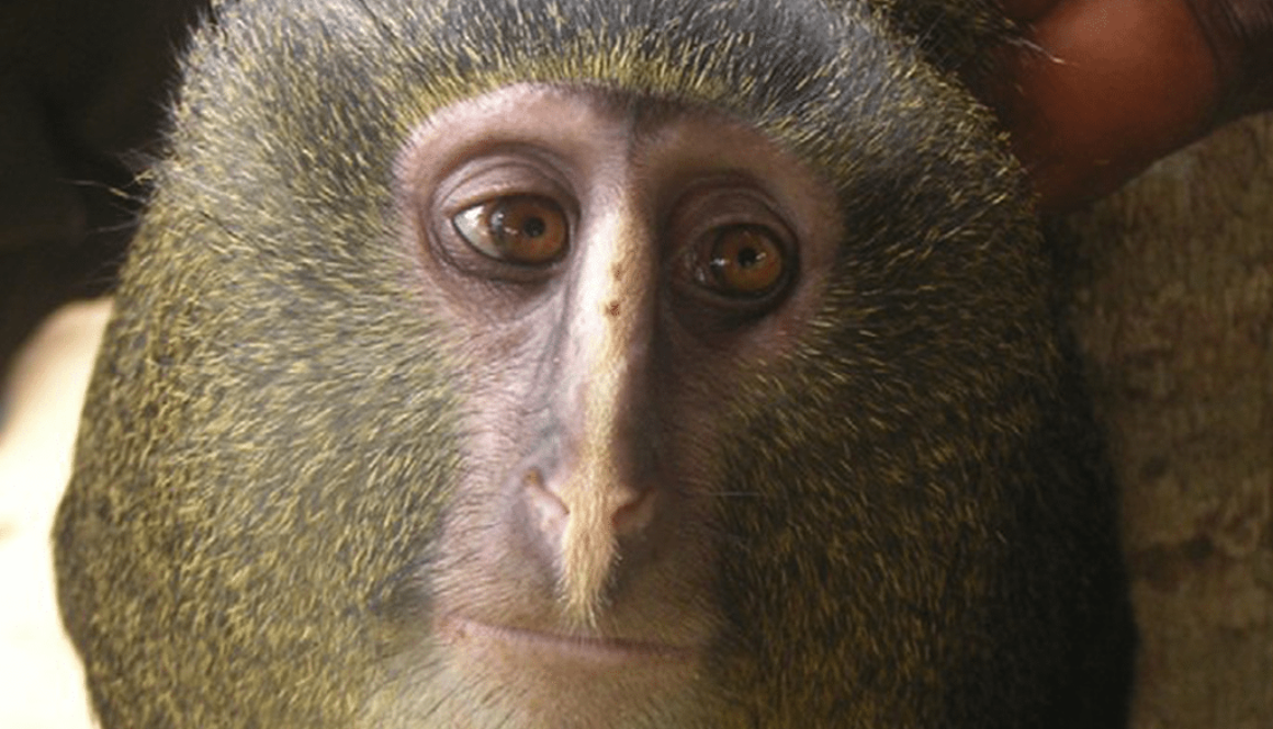 Screen Shot 2012-09-14 at 2.33.19 PM