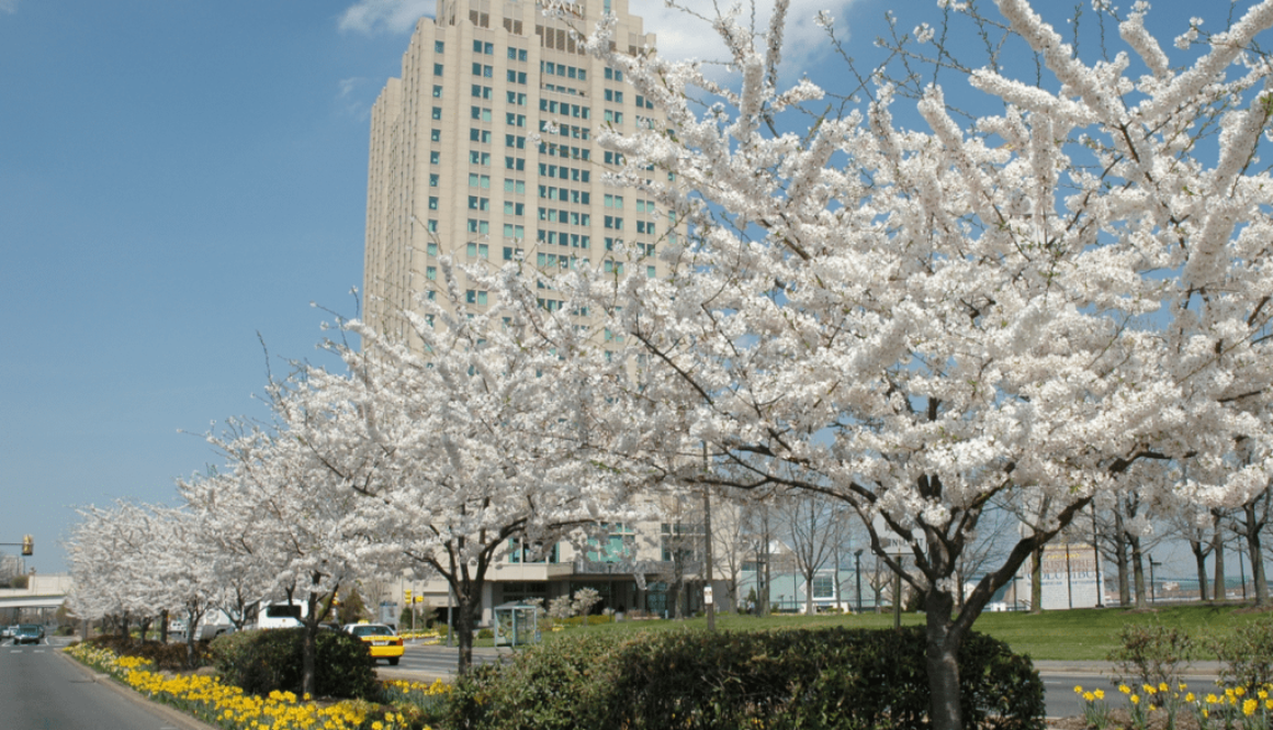 Screen Shot 2012-09-21 at 4.32.33 PM