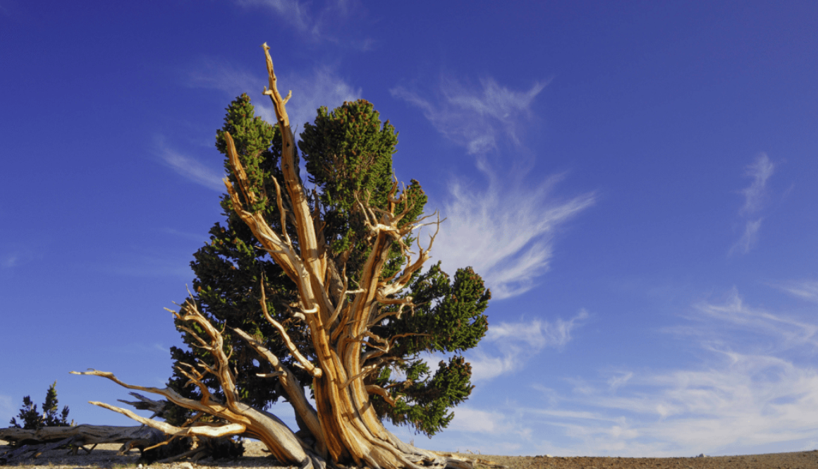 Screen Shot 2012-10-23 at 4.48.34 PM