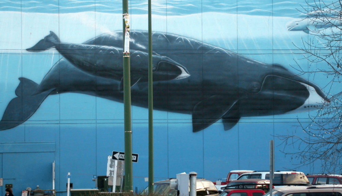 Wyland Mural