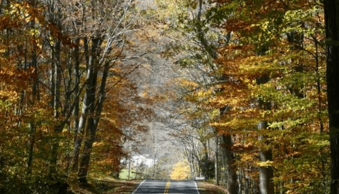 Screen Shot 2013-06-11 at 1.31.19 PM