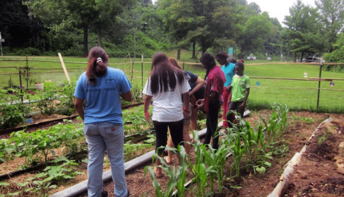 Screen Shot 2013-06-21 at 3.48.17 PM