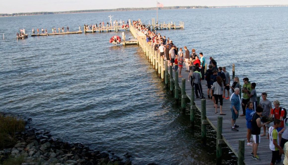 view-from-above-crop