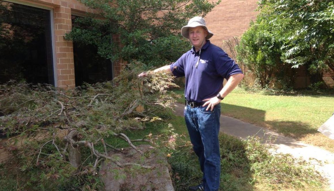 1240438_538757652863321_1844690041_n