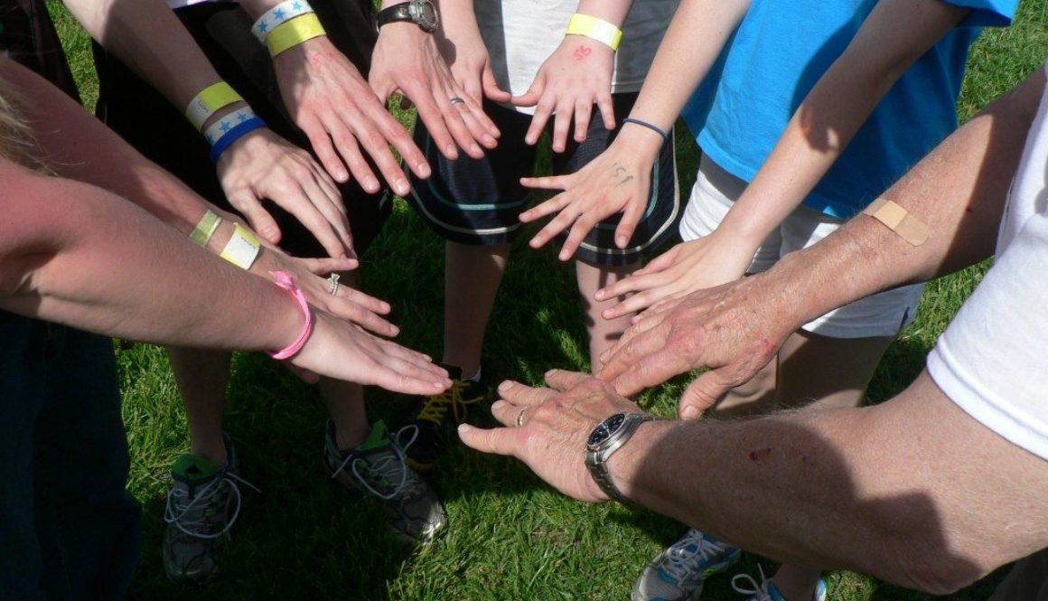 CIBAP1180478-1024x768