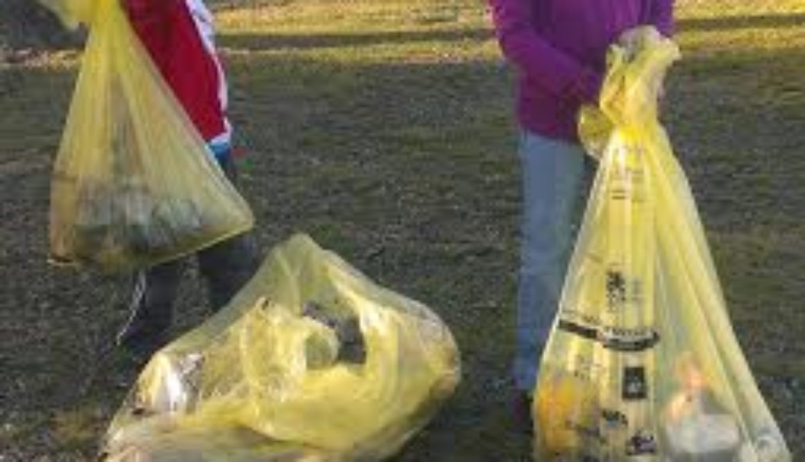 ryder-and-sav-litter-jan-14