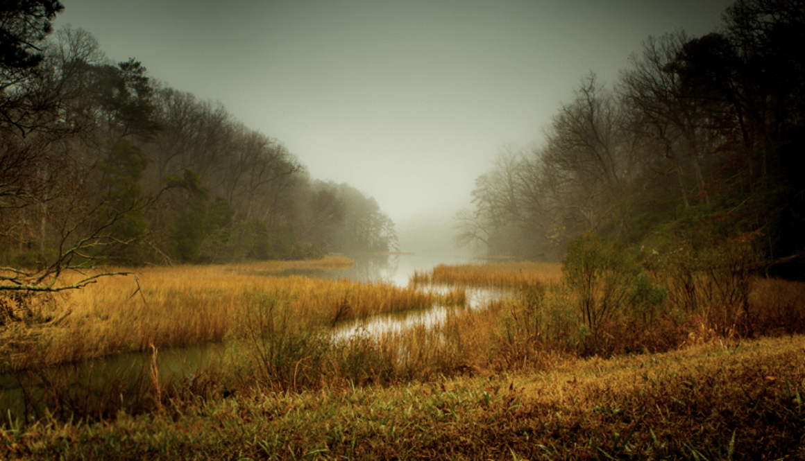 Screen-Shot-2014-03-19-at-3.09.31-PM