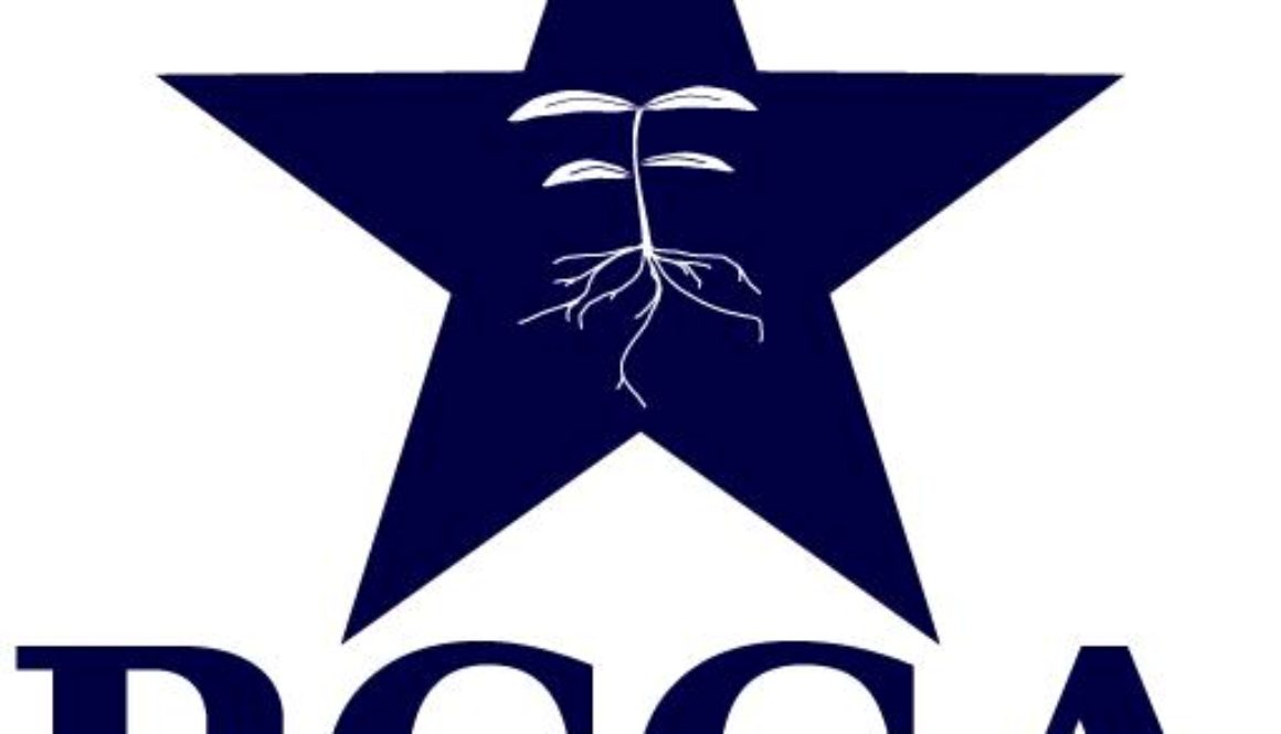 rcga-logo