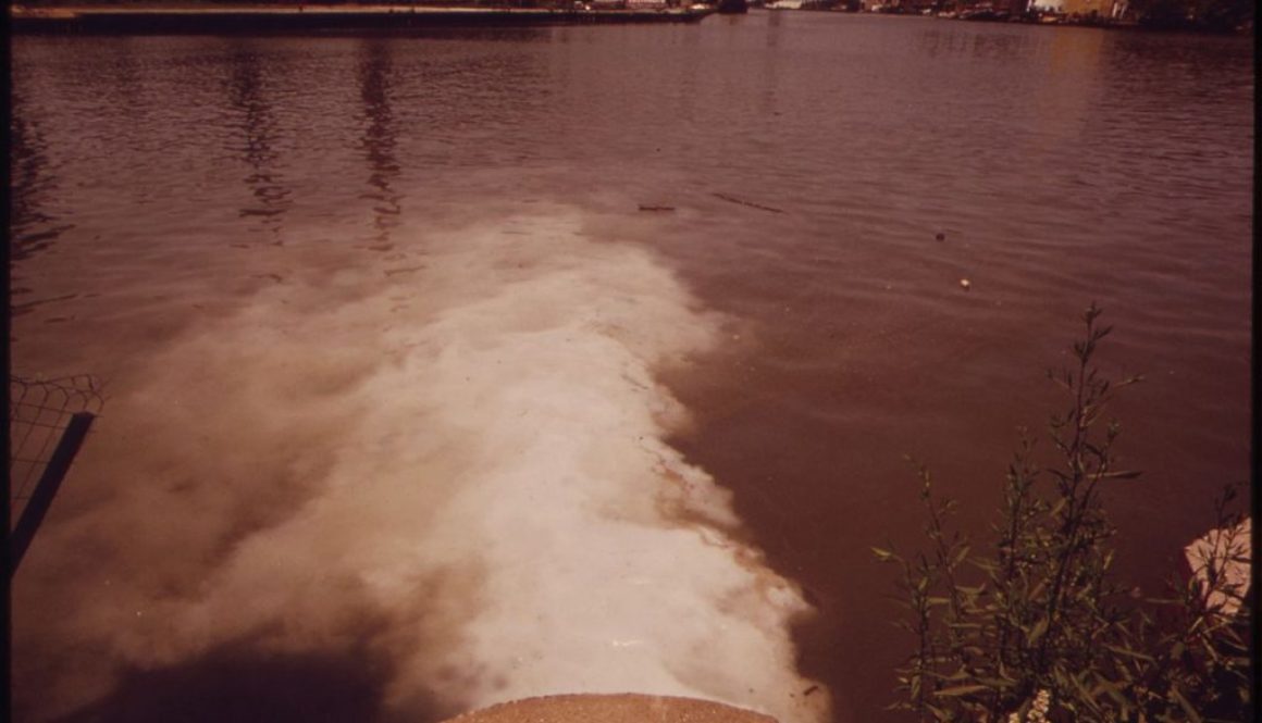 Photo via:Wikipedia-Frank J. Aleksandrowicz, photog.