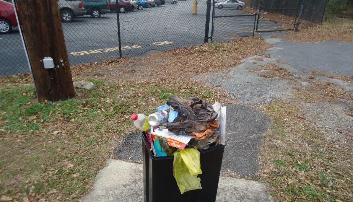 lyndonhenrytrashcollect19890003