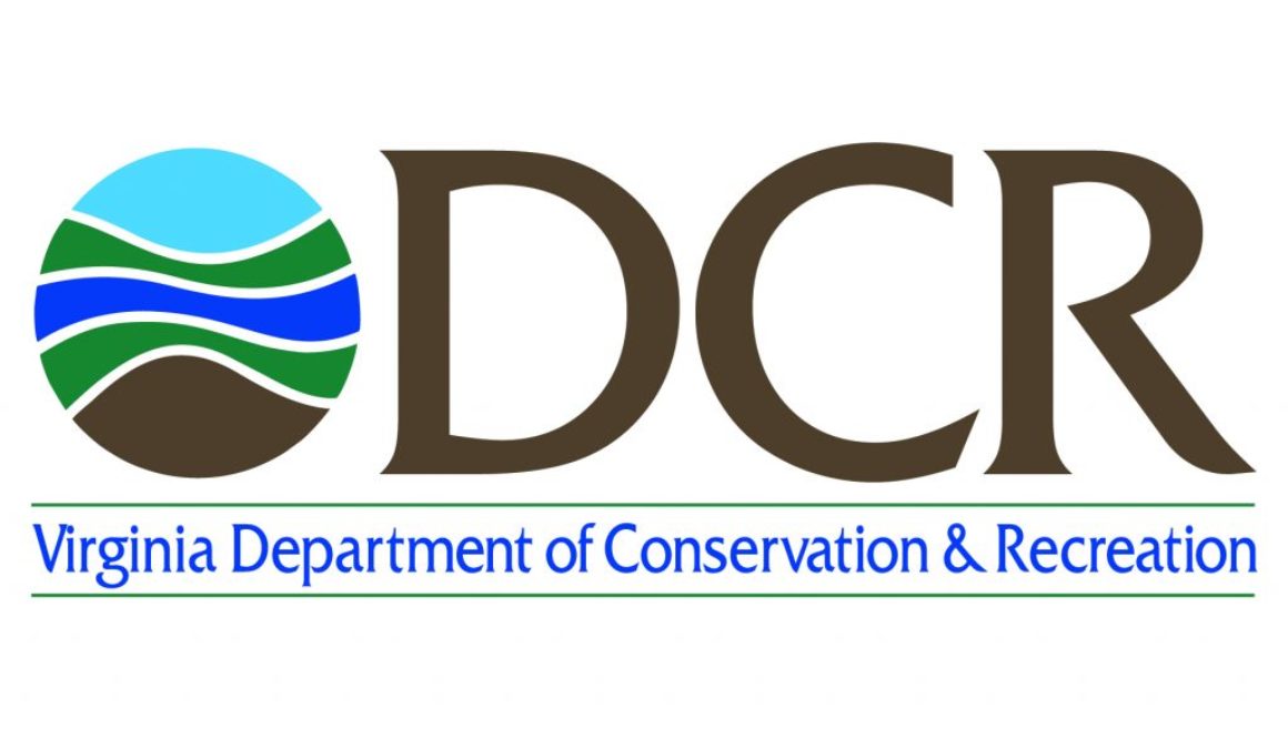 DCR_logo_color_CMYK