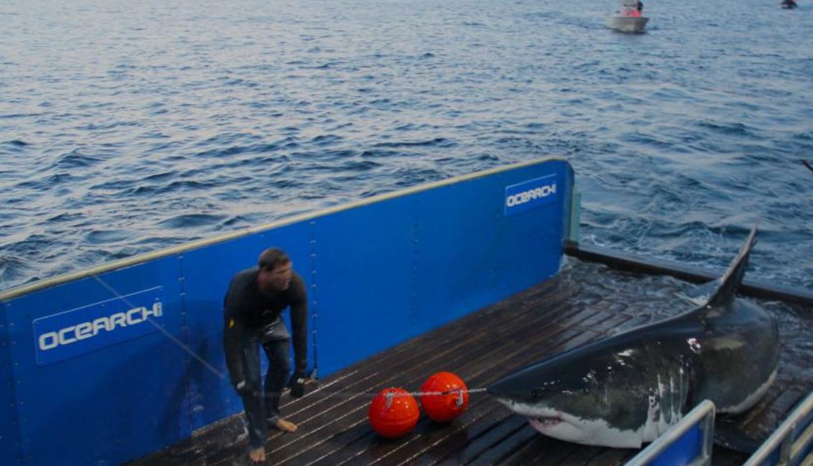 phpThumb_generated_thumbnailjpg