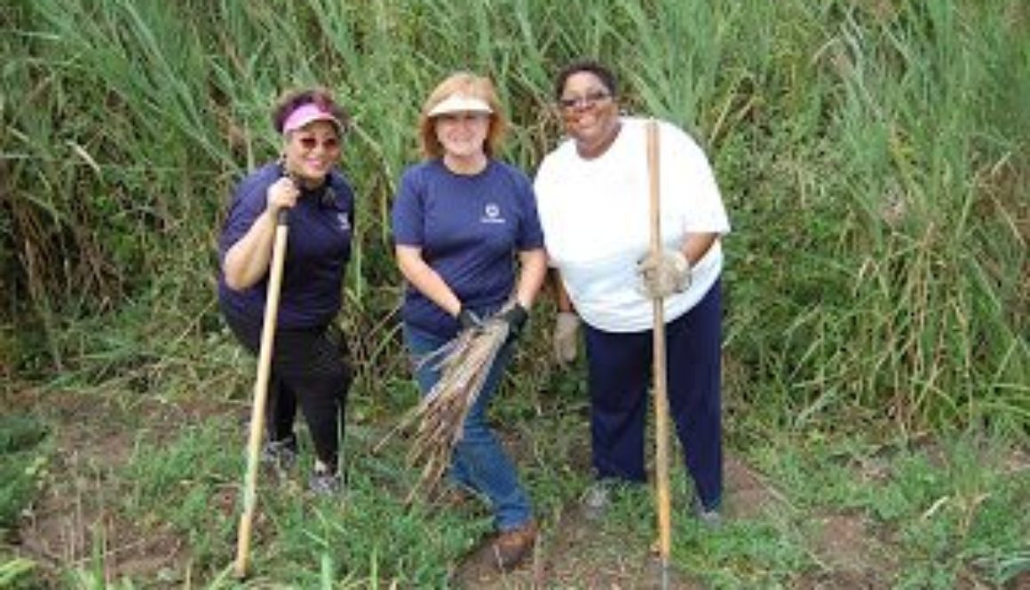 Girl Scouts Colonial Coast 3