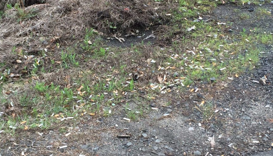 Keep Loundoun Beautiful 1