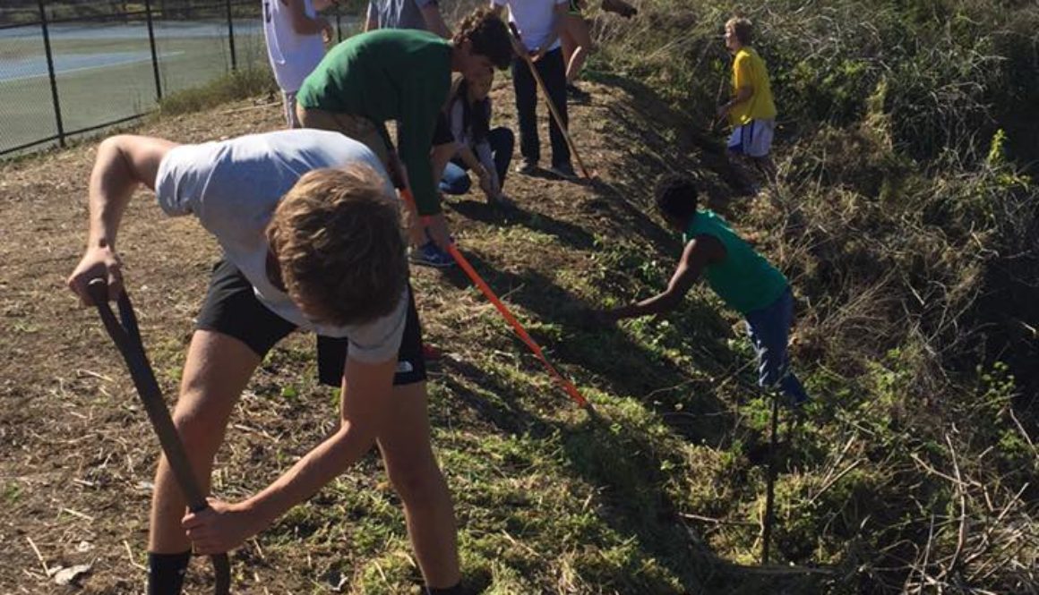 The Gardens at Maggie Walker 2