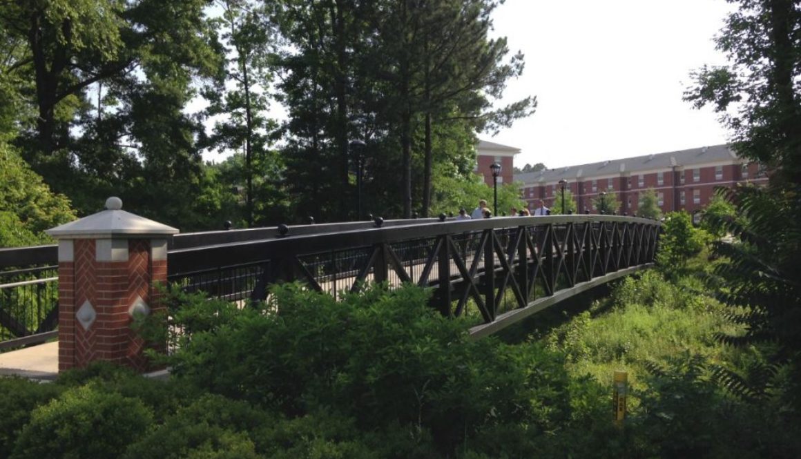 virginia state university 1