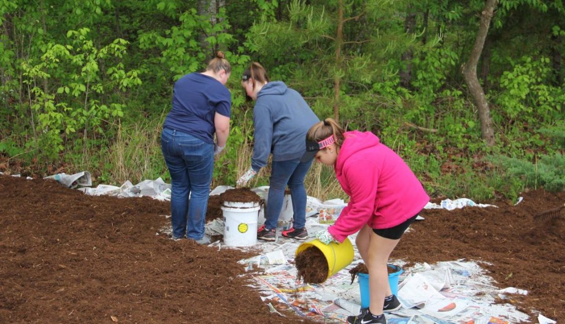 GSTroop616PollinatorWorkDay