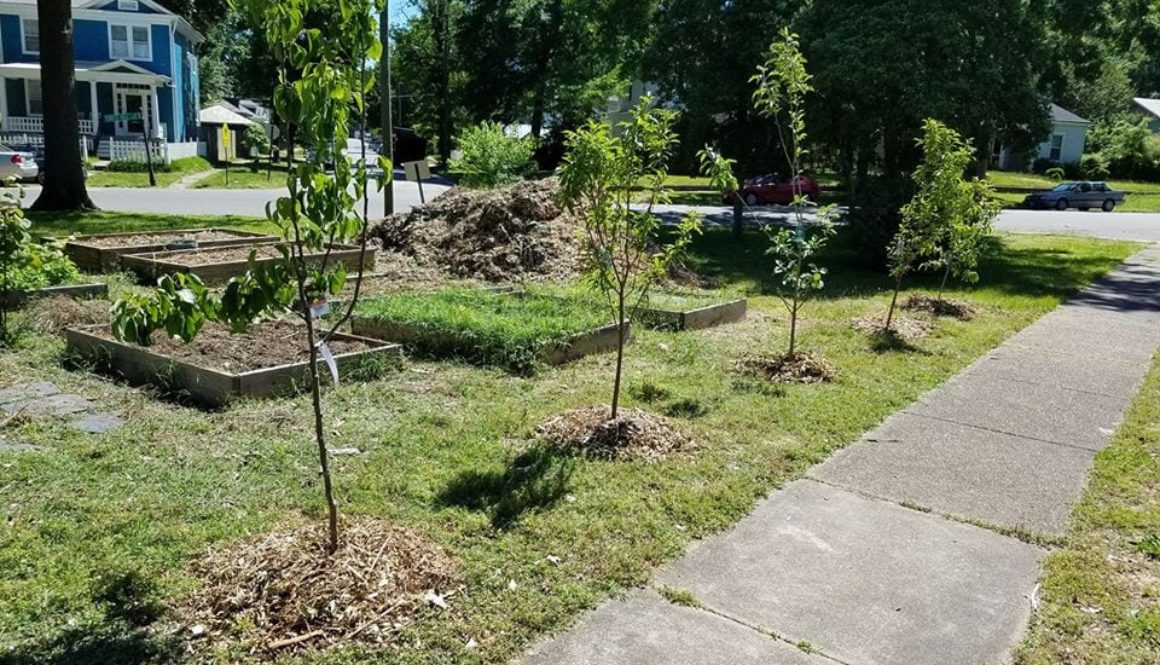 LewisGinterBotanicalGarden B Garden