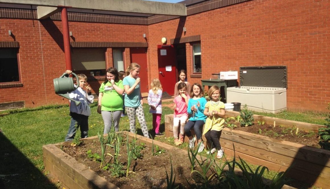 Scottsville Garden Club 2 B