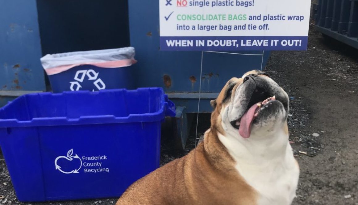 D6CD4200-6108-4FC7-9FD5-48E305A04D45-2