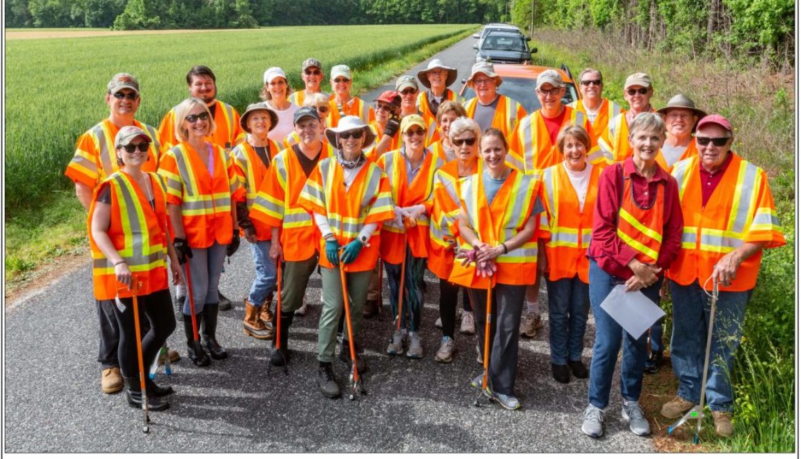 remo-road-gang-2019-web