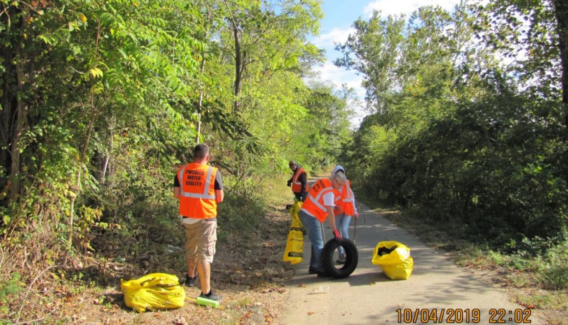 REI Neabsco Boardwalk clean up