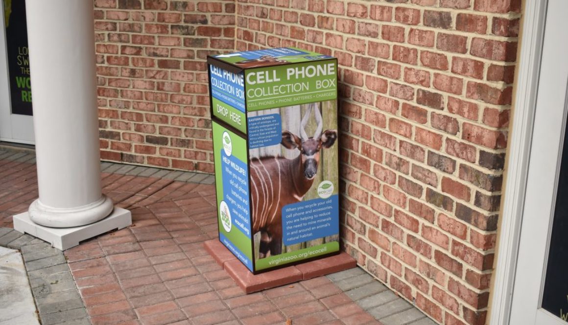 Virginia Zoo ECO-CELL box