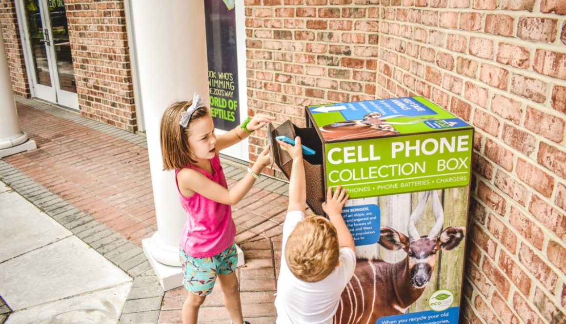 Virginia Zoo Eco-Cell box