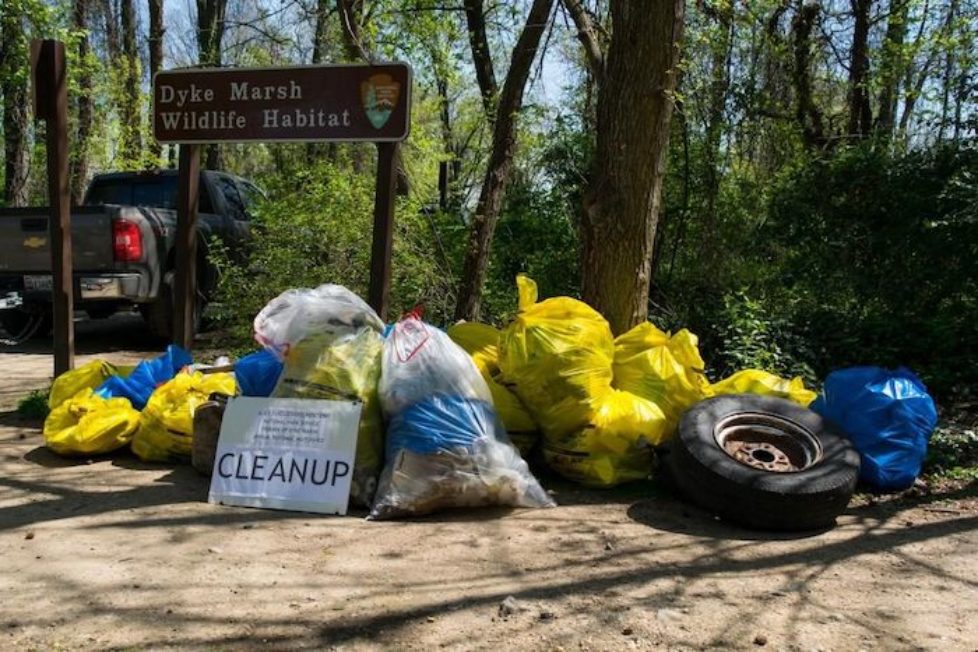 Bags of trash from litter cleanup