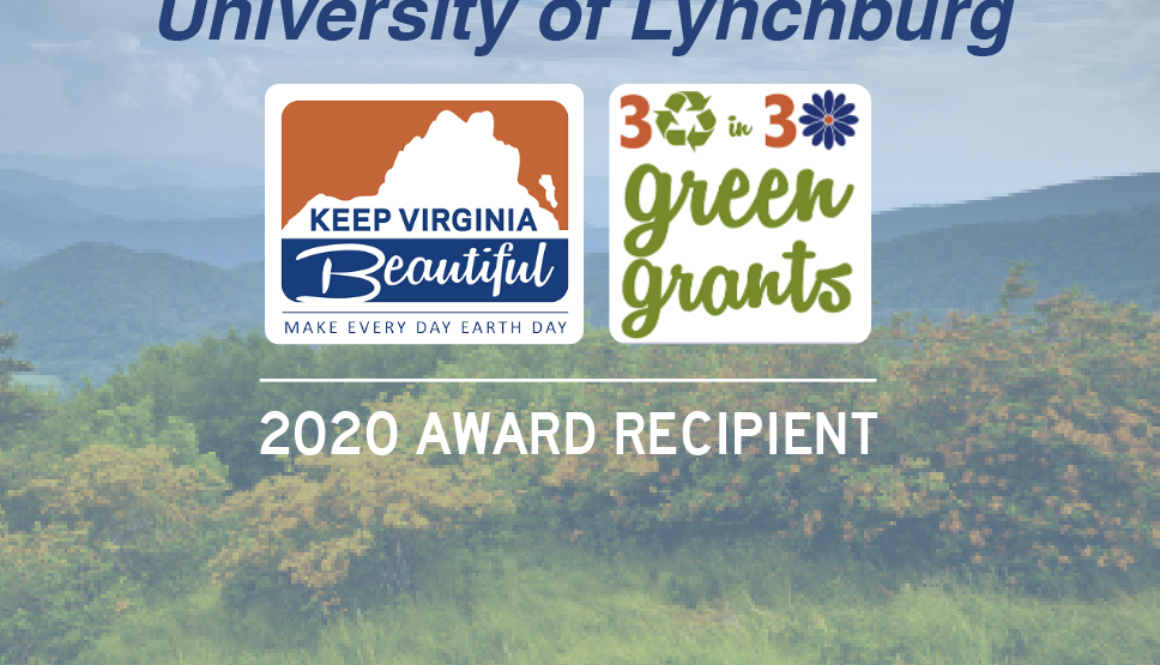 Screenshot 2020-06-11 11.45.39