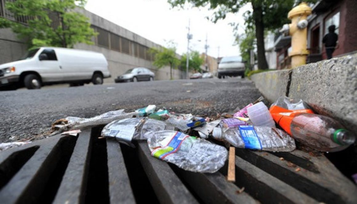 Trash in Storm Drain