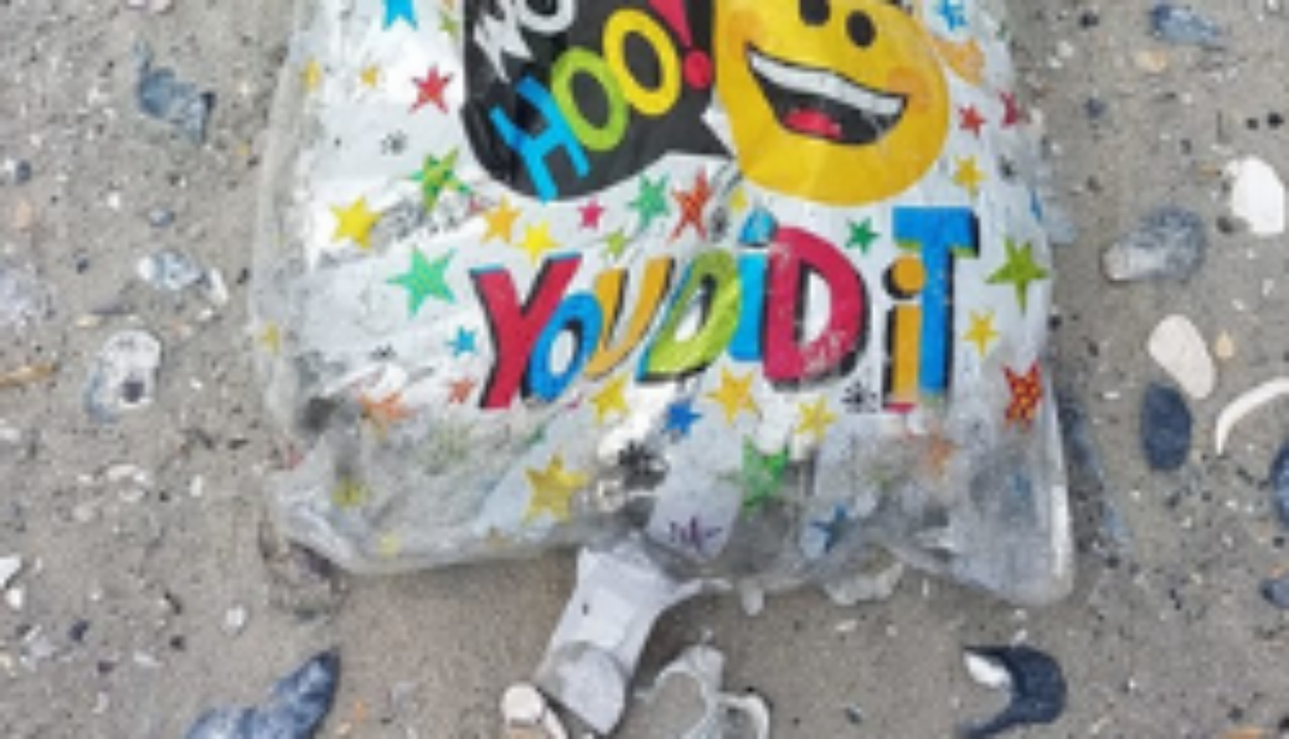 Balloon on Barrier Island beach