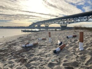 Giant Fake Cigarette Butts