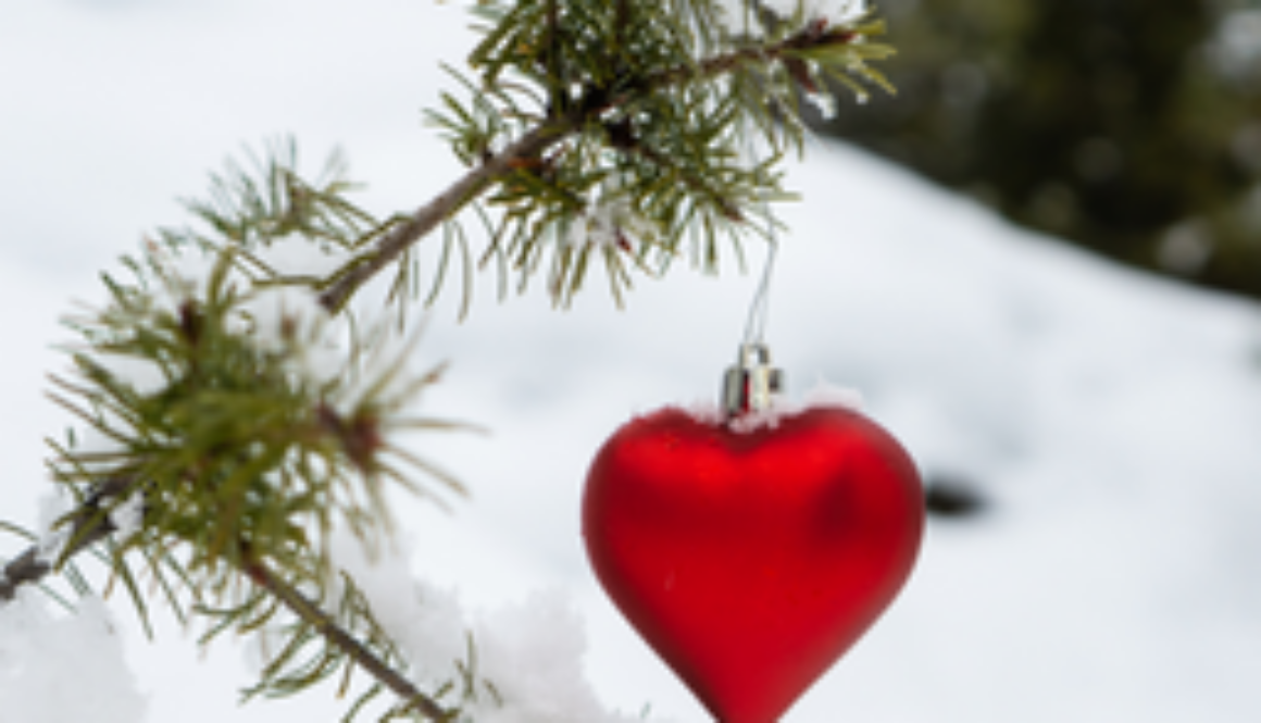 Heart hanging on tree