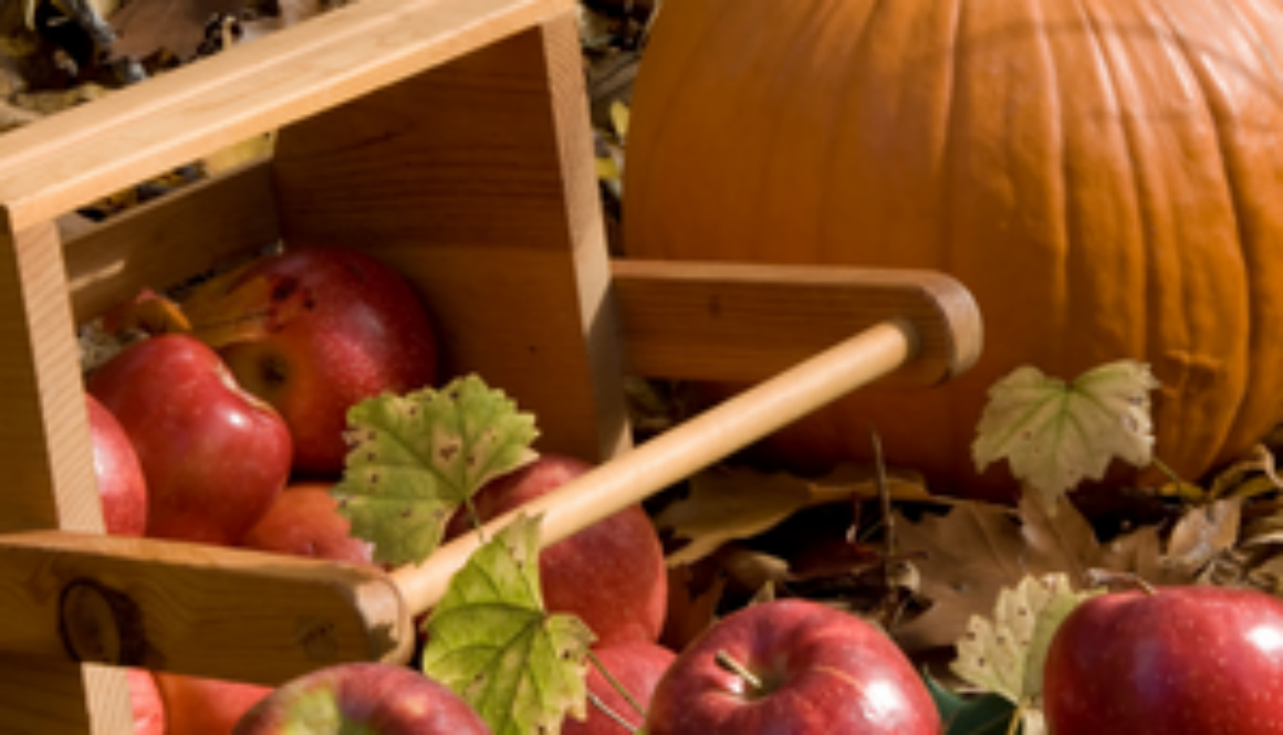 Apples & Pumpkin