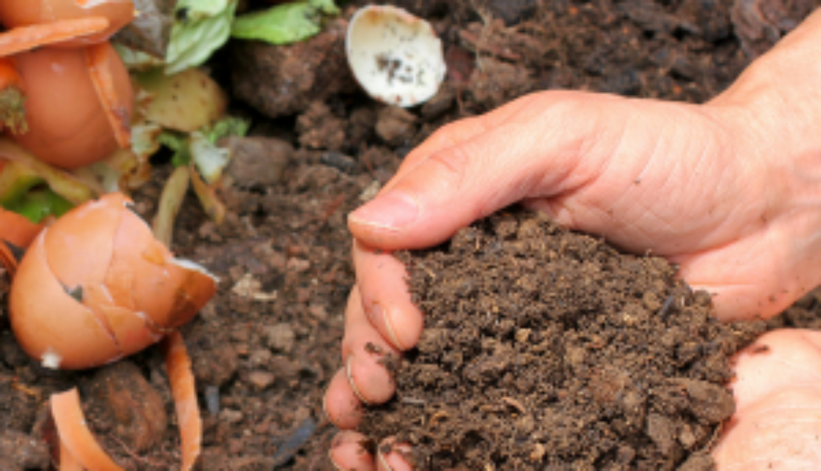 Hands holding composted soil made from food scraps