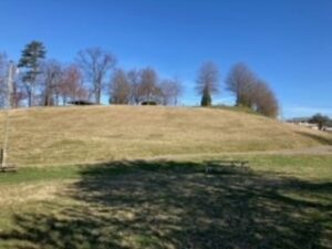 Large grass area on a hill in Longwood Park, City of Salem, VA