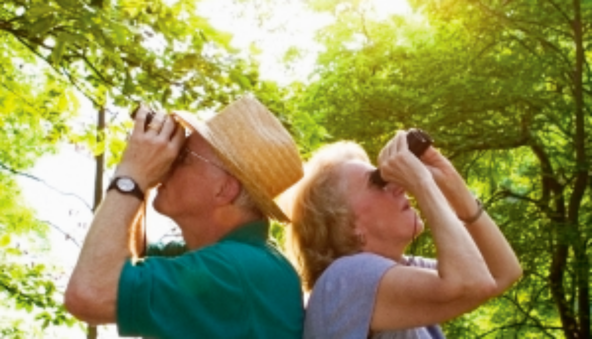 Man and woman with binoculars looking up in the trees for birds